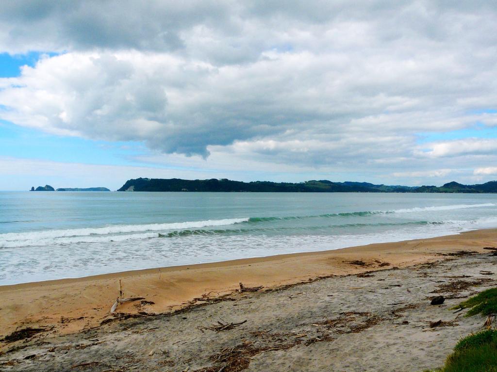 Absolute Beachview B & B Whitianga Exterior photo