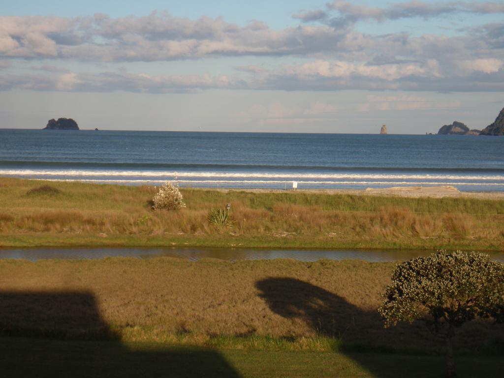 Absolute Beachview B & B Whitianga Exterior photo